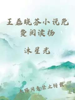王磊晓芬小说免费阅读杨